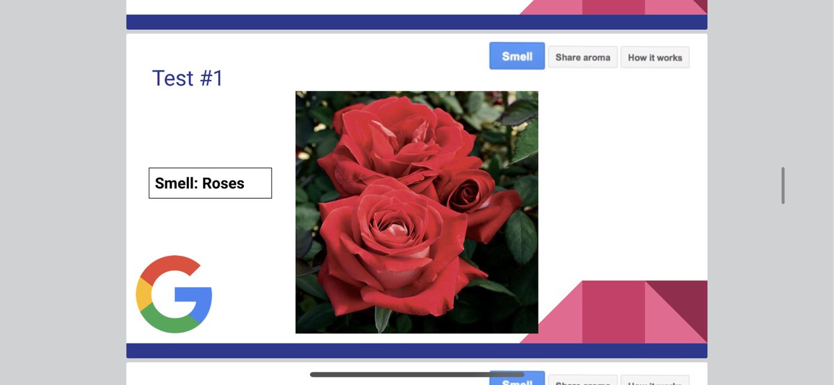 ms_christo's tweet photo. What an exciting opportunity to be part of Google’s Nose Beta testing group! This technology will change the future of Google! Ss loved this technology!! #googlenose #technology #grade1 #grade2 #AprilFools  @silverspringsps https://t.co/s2560AF5ZJ