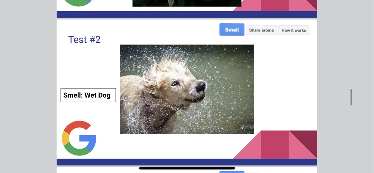 ms_christo's tweet photo. What an exciting opportunity to be part of Google’s Nose Beta testing group! This technology will change the future of Google! Ss loved this technology!! #googlenose #technology #grade1 #grade2 #AprilFools  @silverspringsps https://t.co/s2560AF5ZJ