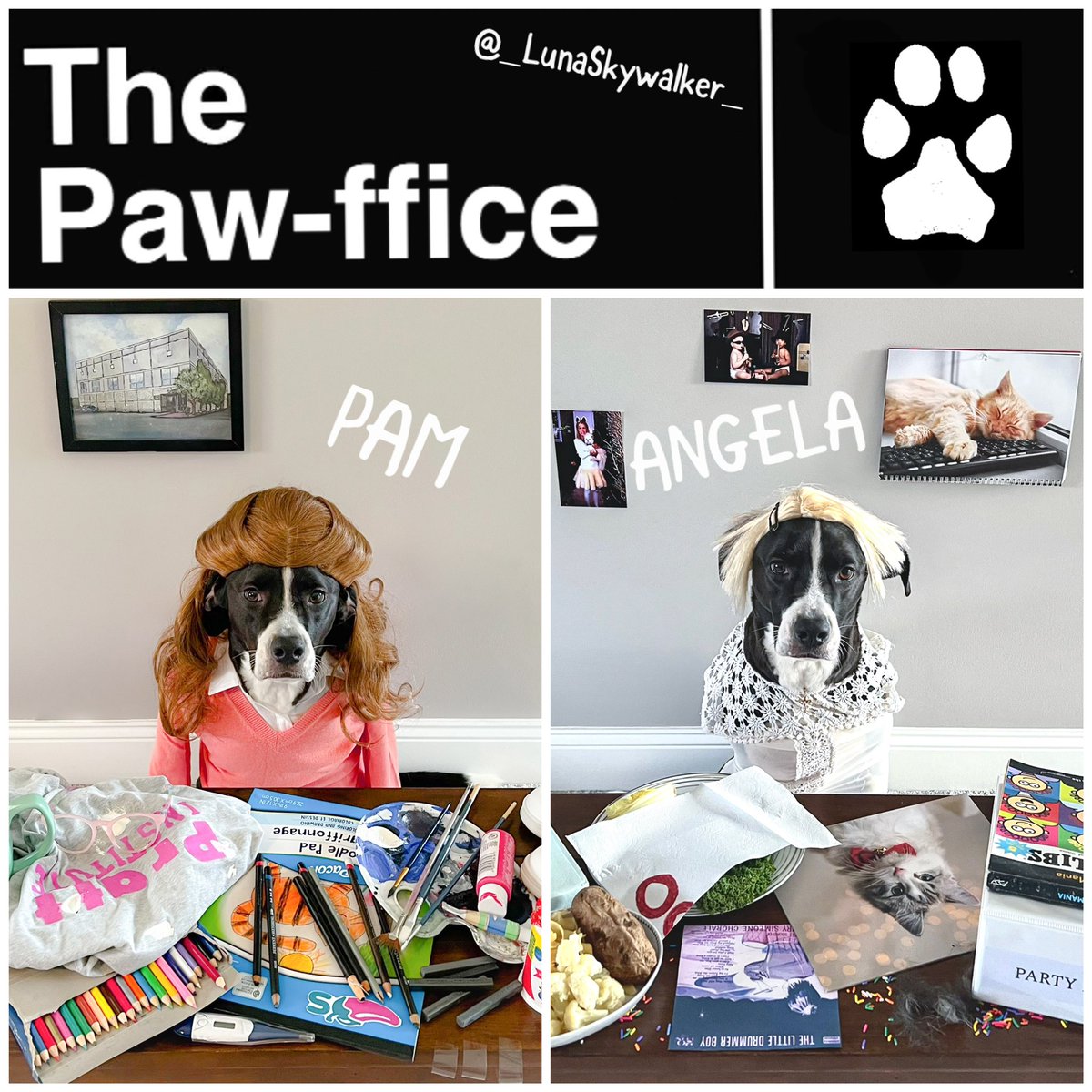 _LunaSkywalker_'s tweet photo. If you love #TheOffice &amp; @jennafischer &amp; @AngelaKinsey from the @officeladiespod, we hope these tribute portraits make your day!

Check out all the character props! Which do you like better? We love BOTH Pam &amp; Angela!😍
#ThePawffice 

https://t.co/6GAIJRk2dF https://t.co/gGbJqwAY69