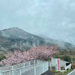 【筑波山江戸屋】のツイート画像