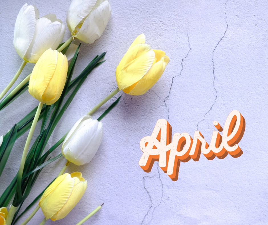 campfoundftl's tweet photo. Happy April ... https://t.co/2KwfIoRAO6
