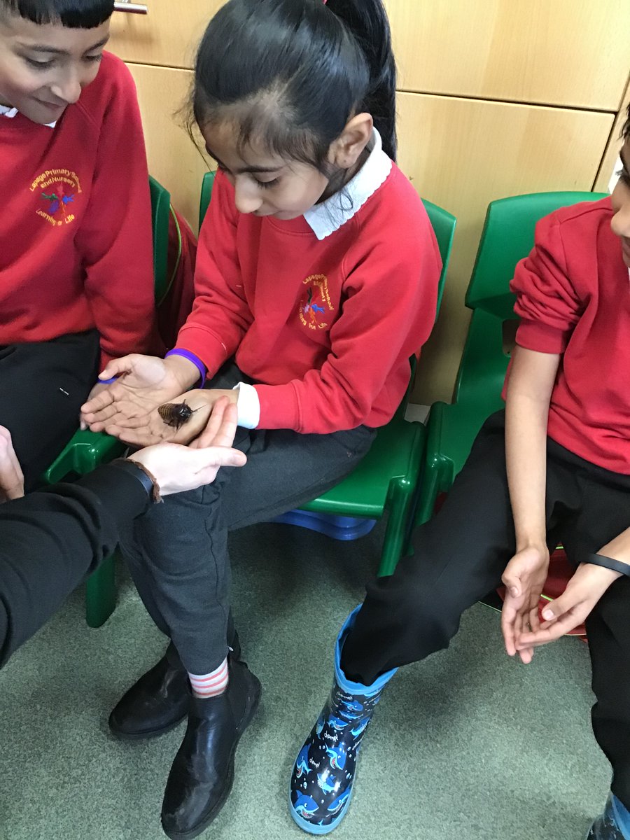 LapagePrimary's tweet photo. KS1 have had a fantastic visit from Zoolab learning about different animals and their habitats.  We were very brave handling them all. https://t.co/5ozaT4AxBu
