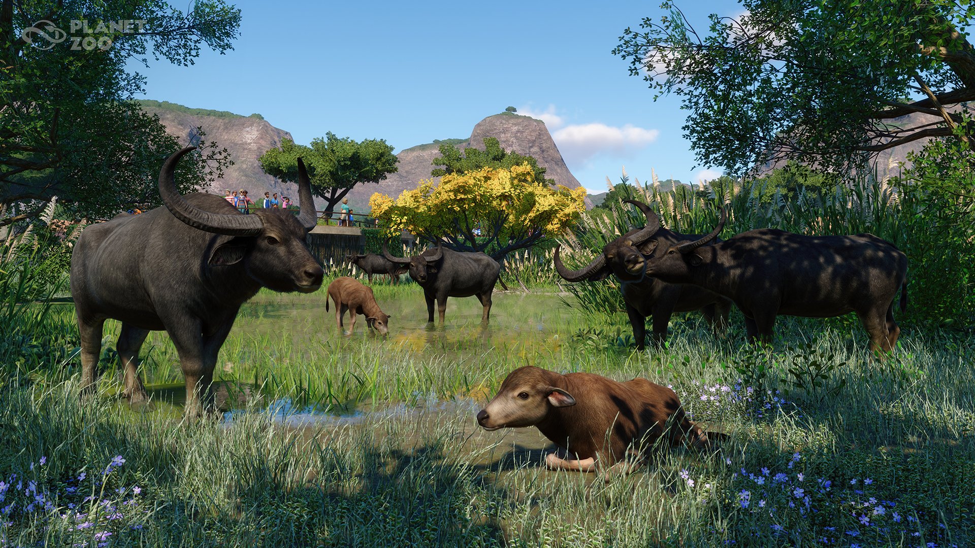 Planet Zoo on Twitter: "Nothing says "spa day" quite like a mud mask ...