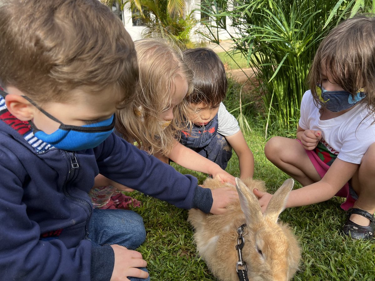 clairevpotts's tweet photo. We love taking knuffle bunny for a walk - although I am not sure who is walking who! #ibpyp #earlyyears #supportrabbit @AISLusaka with @jcd118 https://t.co/JBSIFvWBDd