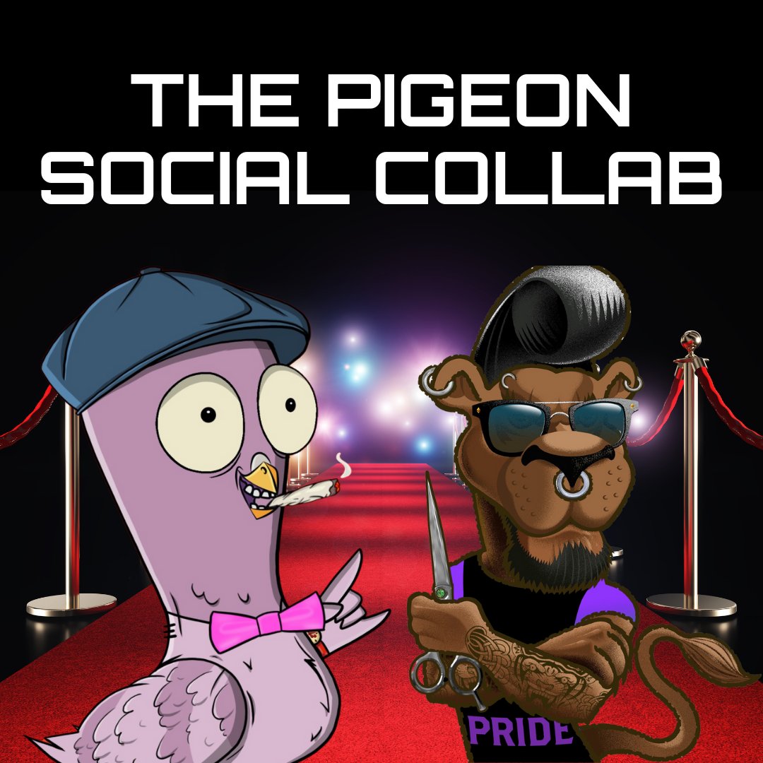 LionsBarberNft's tweet photo. We've partnered up @ThePigeonSocial to help bring their mission to life.

The flock is growing with a focus on supporting education for children in need globally. 

Win 1 Pigeon Social NFT below:

1 - Follow their twitter
2 - Join their discord 
👉 https://t.co/29Y9krtO0W https://t.co/2ukm6fthGH