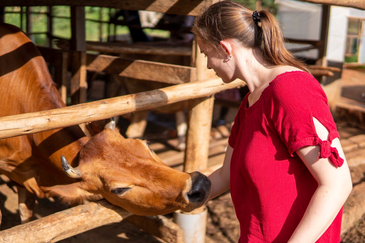 unyfa1's tweet photo. The 4th cohort of the #IYFEP, (April to July 2022) is taking shape.
Marie Reichert, IYFEP Program Manager for Kenya, is visiting Ugandan host farms and alumni as part of the advance team @SchorlemerS ahead of the start seminar slated for next week.
Farm: One Acre Unlimited Farm https://t.co/2hvsTfZiz1