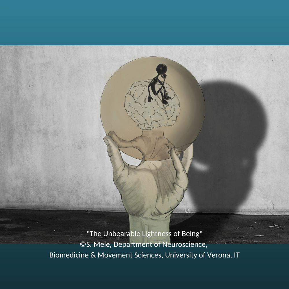 FENSorg's tweet photo. 📸 "The Unbearable Lightness of Being", by Sonia Mele. Photo manipulation that represents all the actors within neuroscientific research. Last image for the #FENS #neuroart! Don't miss the results of the 2022 #FENS-EJN Image competition! https://t.co/DMClFAvwad