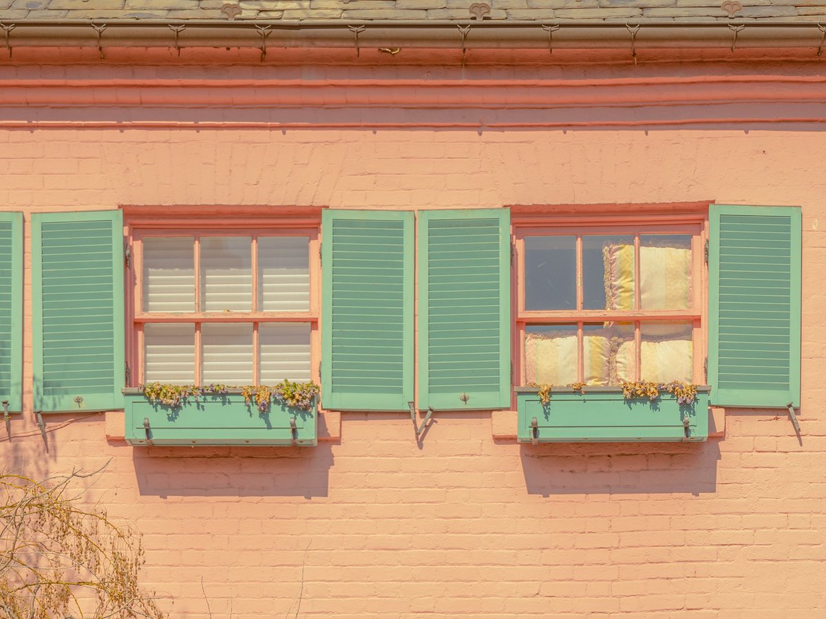 inthemeadow's tweet photo. everyday colors https://t.co/R7bcfsCQ6T