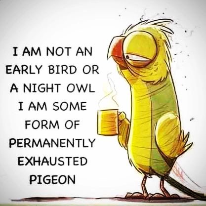 chaotic0creator's tweet photo. From @our_adhd_journey on Instagram: Anyone else feel that this sums up some #adhd days?
It's all about the go go go in the mind and the constant #timeblindness and #hyperfocus for me.
From parenting an #adhdson to daily work tasks and study, boy oh boy I feel exhausted. https://t.co/DausDyF3XX