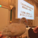 ❣️コールダックのKちゃん❣️のツイート画像