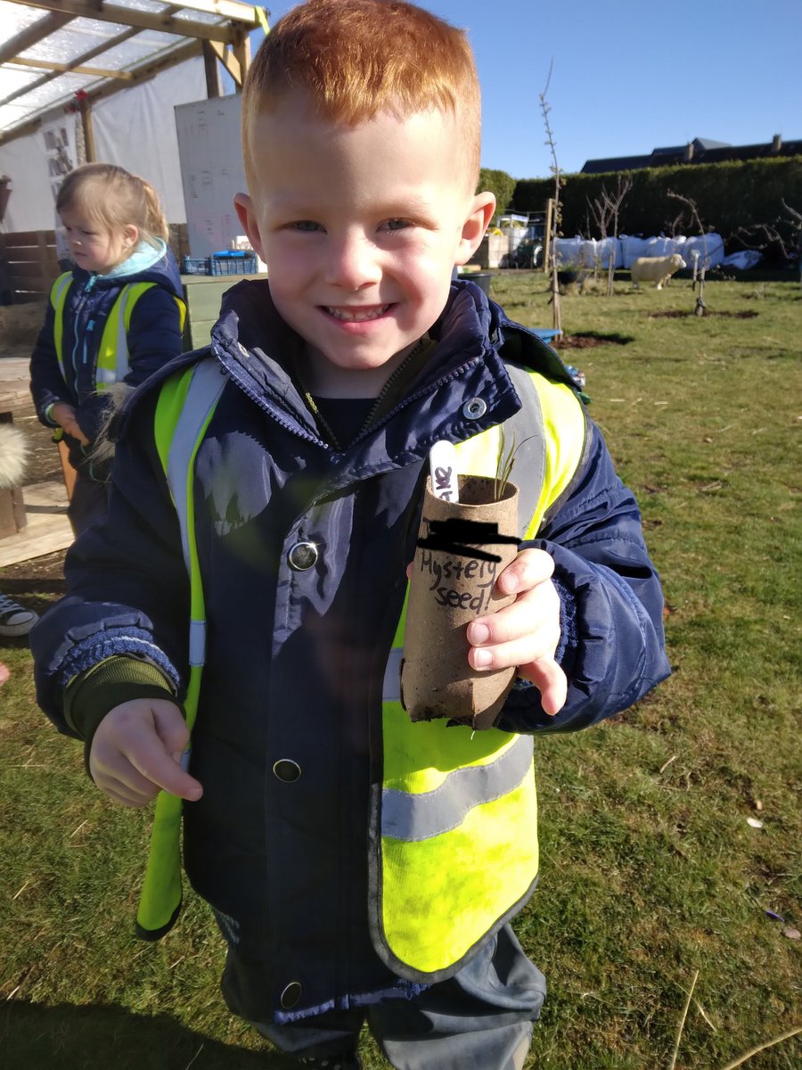 LawfieldPS's tweet photo. A few weeks ago at our 'Planting a Seed' group, one of our children found a seed but didn't know what it was. Today we discovered that it had started to grow! 

#plantingaseed #gardening #outdoorlearning #mystery 

@LawfieldPS
@MidEarly
@MAEDT1 https://t.co/fUBlsiI9Gu