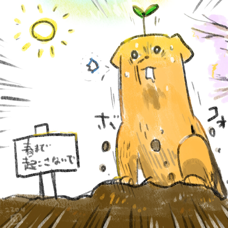 ウワーーーッッッ!!! 