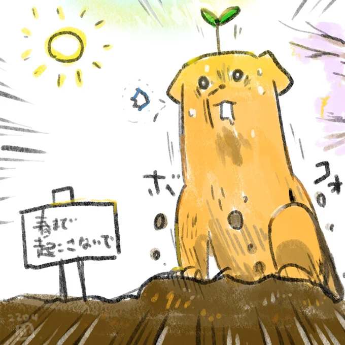 ウワーーーッッッ!!! 