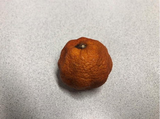 Here at <a href="/CentennialLib/">Centennial Library & Learning Centre</a>, we're not afraid to compare apples and oranges!  We thought closing the libraries would be a fruitless exercise, but alas!  We were wrong.