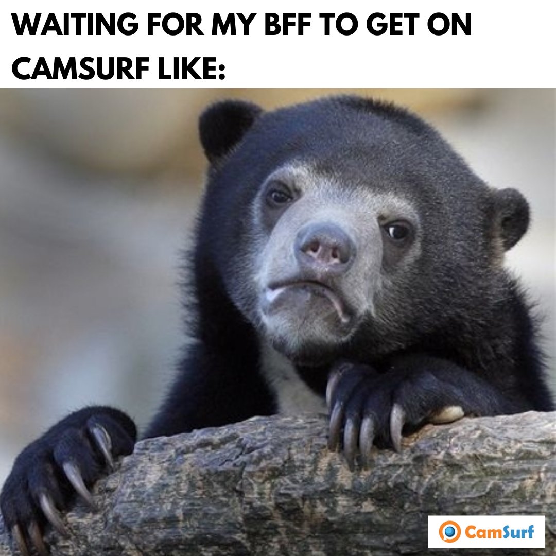 camsurfchat's tweet photo. Anytime now.#bestchatapp #videochatbuddy #CamSurf https://t.co/gmkejMqjhy