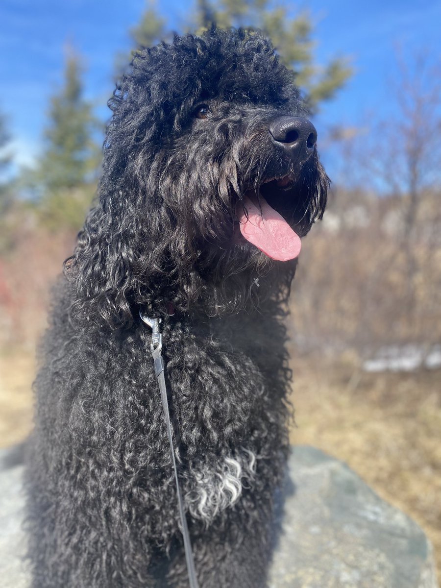 Karen Peddle (she/her) tweet media