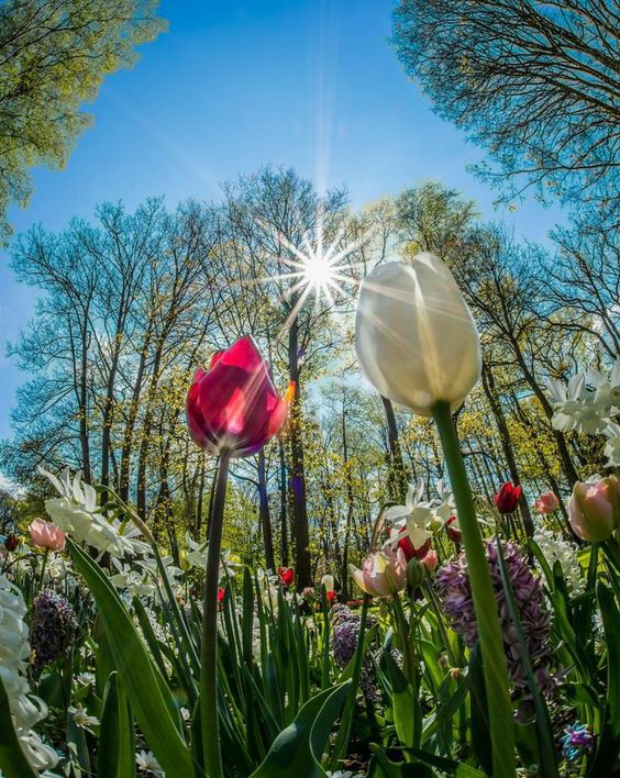 NikkiDanby1's tweet image. OUT NOW! CLEAR ENERGY Design for Life April Newsletter gem.godaddy.com/p/bdfea31 Enjoy! #thebodycode,#theemotioncode,#energyhealing,#wellness