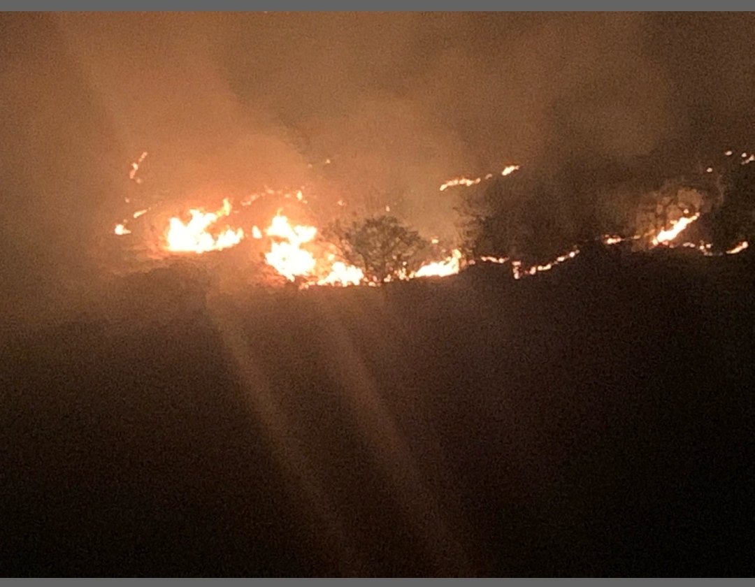 deepakdhirhe's tweet photo. @MahaForest Massive fire broke out on forest Hill in  Hinjewadi Phase 3, Maan, Pune. Behind Megapolis Symphony Society. Called forest helpline and firebrigade but no help yet. @AUThackeray @supriya_sule @AjitPawarSpeaks @CMOMaharashtra https://t.co/1piWYnQ6oc