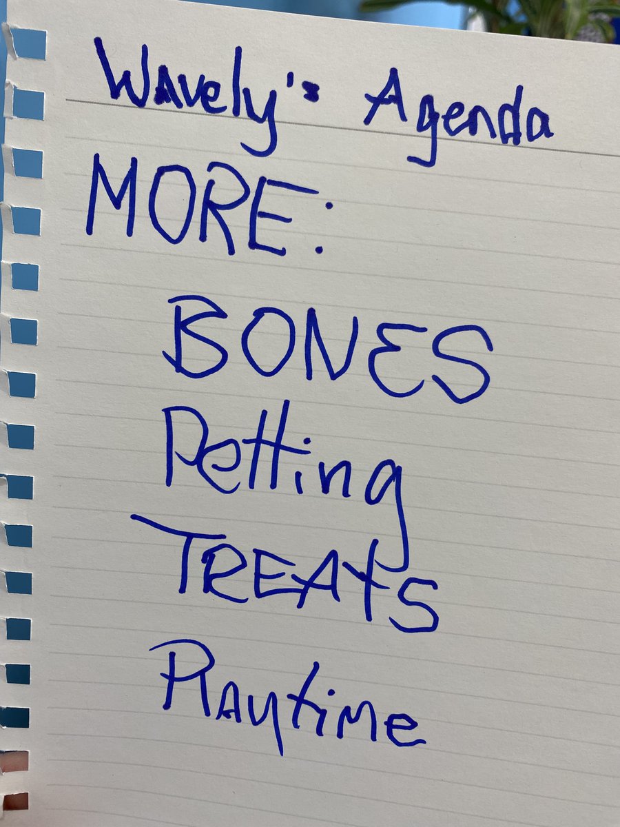 TupeloHigh's tweet image. Wavely presented a few requests in Mr. Dobbs' Admin meeting this morning... #GoWave #TPSD