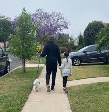 jimborich202789's tweet photo. Beautiful morning for walking the dog, and my slam piece. #FeelsGoodFriday https://t.co/b8rAZHfNTJ