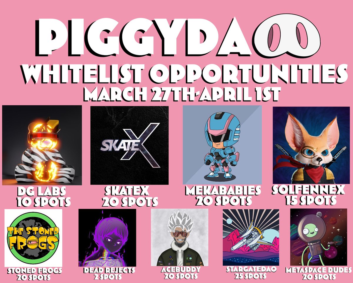 Piggy Sol Gang 🐽 tweet media
