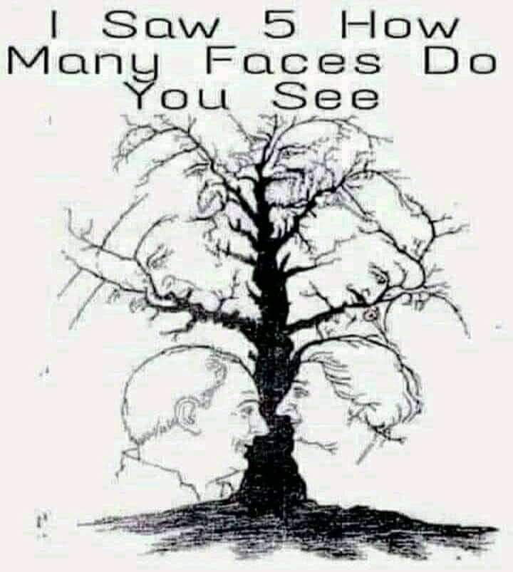 Belle who likes to Brunch tweet media