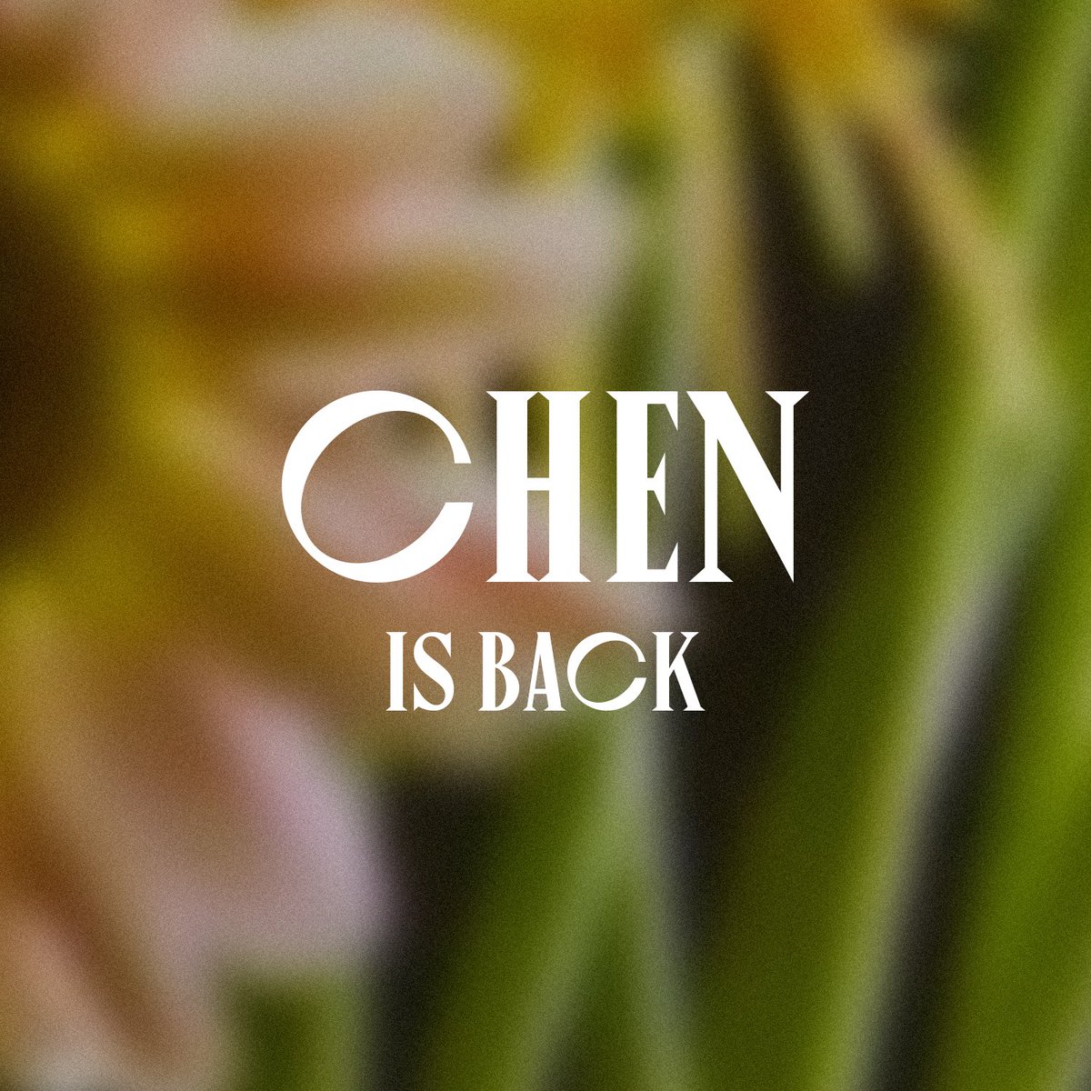 TNFWithCHEN's tweet photo. https://t.co/cXvs20g3i7