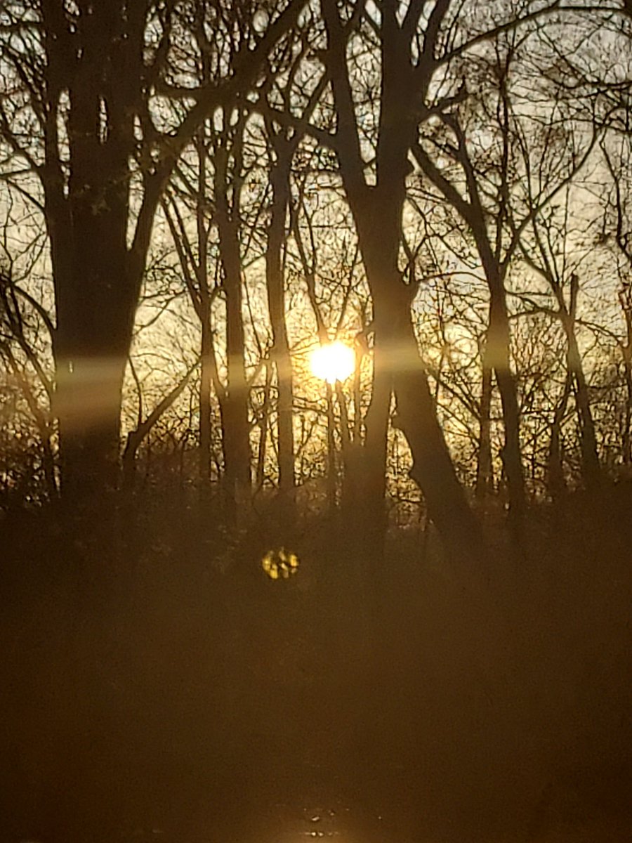 CarolAnne9290's tweet photo. Yesterday evening in Central Arkansas @LCKYNMBER3 @KATVToddYak @KATVJames https://t.co/IQS34vMtI8