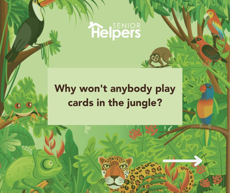 SrHelpersNatl's tweet photo. April Fools'!! What's the best April Fools' joke or prank youβve ever heard?
#Aprilfools22 #aprilfools #jokes #pranks #SeniorHelpers https://t.co/Qj1t27PnjS