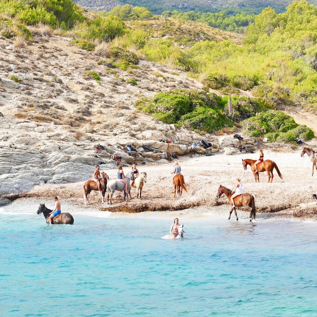 Far And Ride tweet media