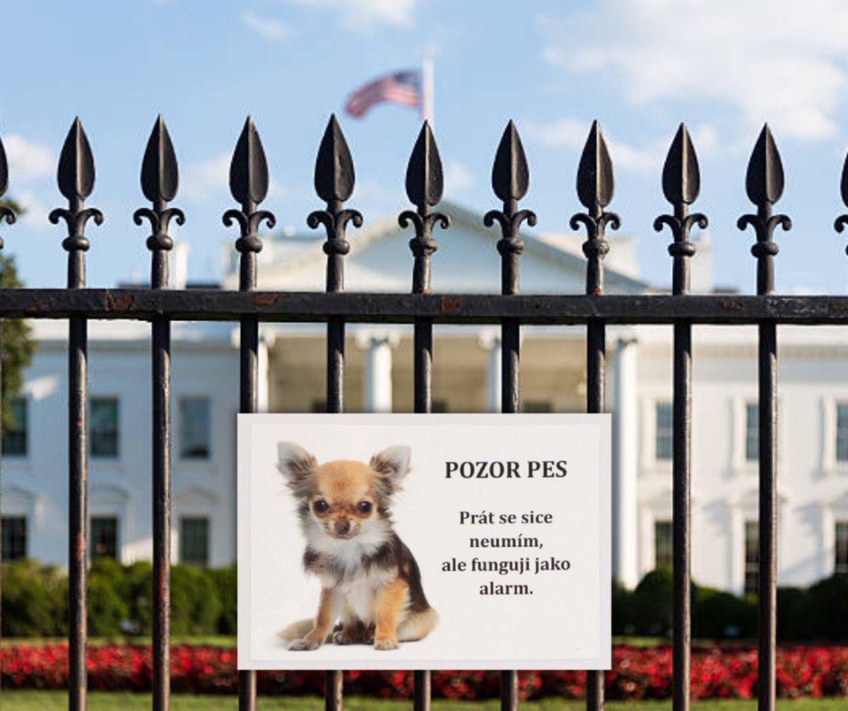 Russian Mission in Geneva tweet media