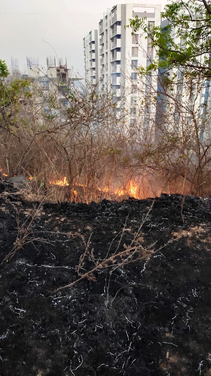 Anita Deshpande tweet media