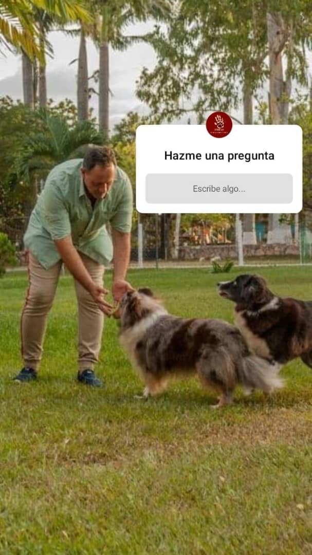 vodkcan's tweet photo. ¿Tienes dudas e inquietudes sobre tu mascota?

Visita mis historias y hazme la consulta 🐶👋��😉👍🏼🐶🐶

#AdiestramientoCanino  #EducaciónCanina #ObedienciaCanina #EscuelaCanina #PerroEducado  #AdiestramientoDomicilio #EntrenamientoADomicilio #EscuelaParaPerros https://t.co/oz42PQKrQ0