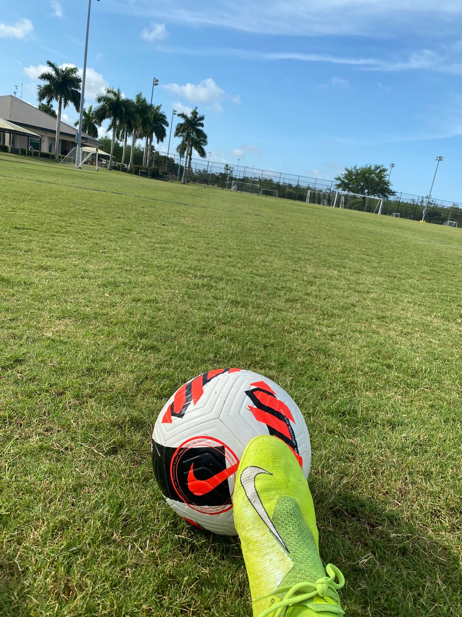 giannasmith1's tweet photo. 🌴+⚽️= happy place https://t.co/Y6tc78Gxgh
