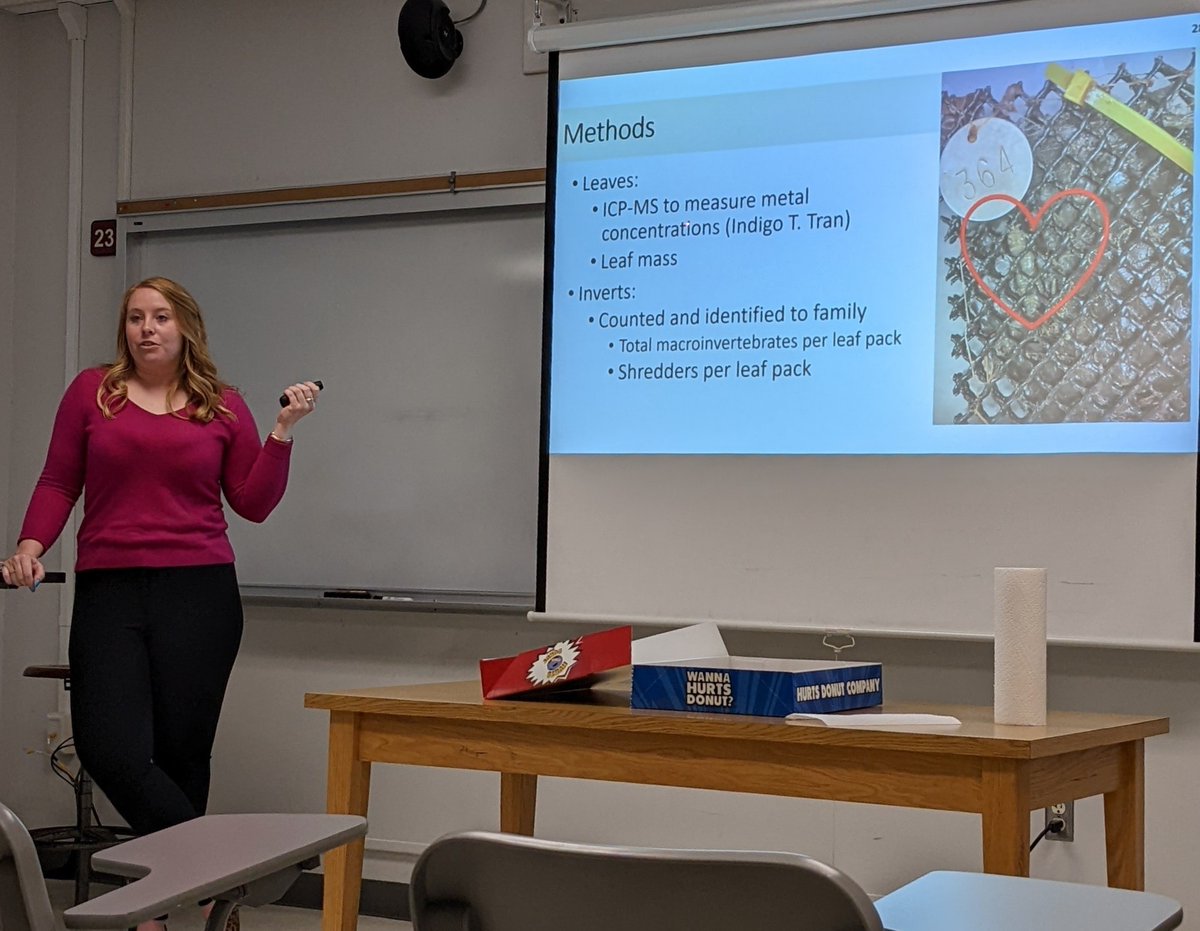 IndigoTran's tweet photo. My research partner @lmhatch6 is defending her thesis on our leaf pack decomposition project TODAY!💐🎉🎉

Look at the Tipulidae 😍 https://t.co/7IvnjudLIQ