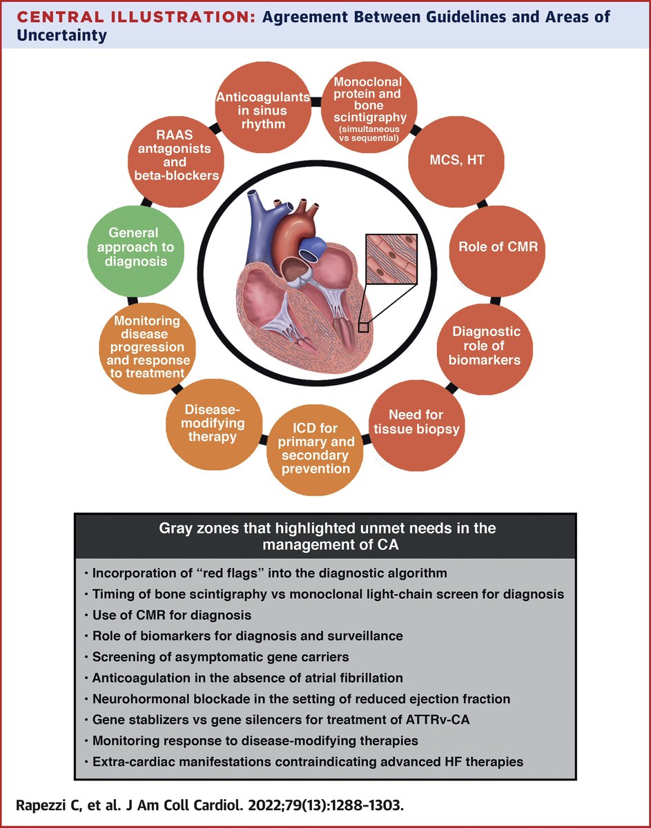 JACCJournals's tweet photo. In this #JACC state-of-the-art review, Dr. Claudio Rapezzi, et al. discuss recent scientific society publications on cardiac #amyloidosis to highlight important points and unmet needs in our fast-changing understanding of this disease. https://t.co/aiv4NHq6Y9 #CardioTwitter https://t.co/tdG3b1kq9o