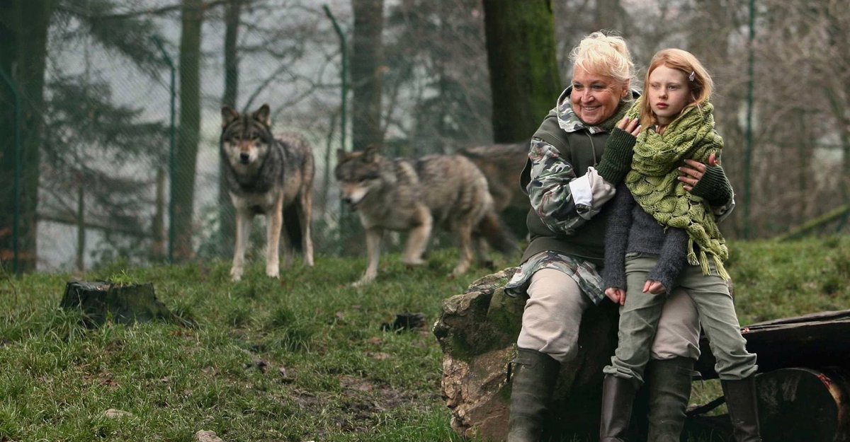 daisy_davies22's tweet photo. A woman's Holocaust memoir takes the world by storm, but a fallout with her publisher-turned-detective reveals her as an audacious deception created to hide a darker truth.
Misha and the Wolves (2021) by Sam Hobkinson
#mdiff #documentary #mishaandthewolves #samhobkinson https://t.co/WEnLWs4W0H
