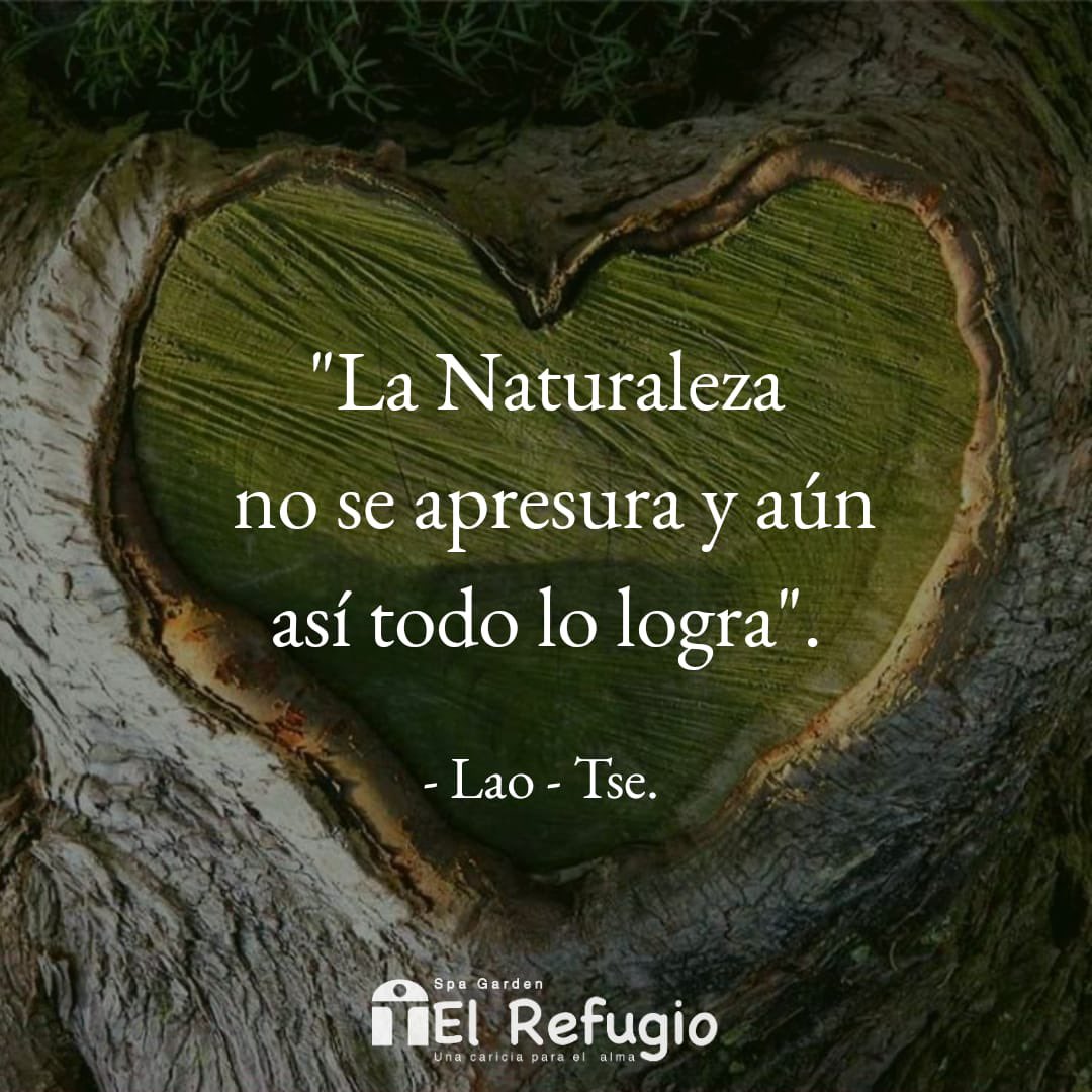 elrefugiospa's tweet photo. En el Refugio Spa Garden encontrarás esa paz, tranquilidad y reconexión con la naturaleza que tanto haz estado buscando. 🌳🌿 🧘🏼 
#wellness #spaecuador #turismodebienestar #saludybienestar https://t.co/VFMINd2Y5a