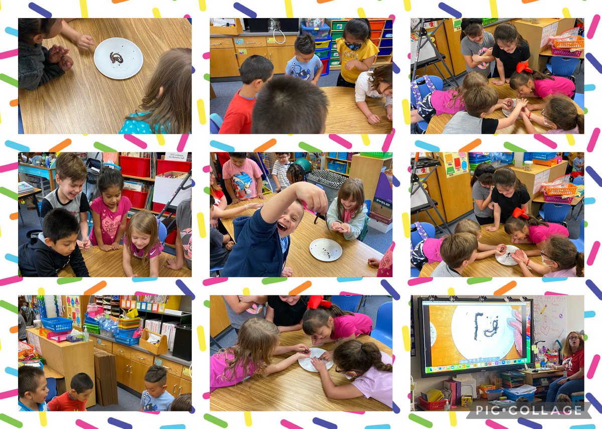 atyler_kinder's tweet photo. Mrs Torales, Mrs Cisneros and @atyler_kinder had so much fun with the earthworms (the kids did too) Round Robin Student Discourse #webbstudentdiscourse #webblc https://t.co/c6trZNP2et