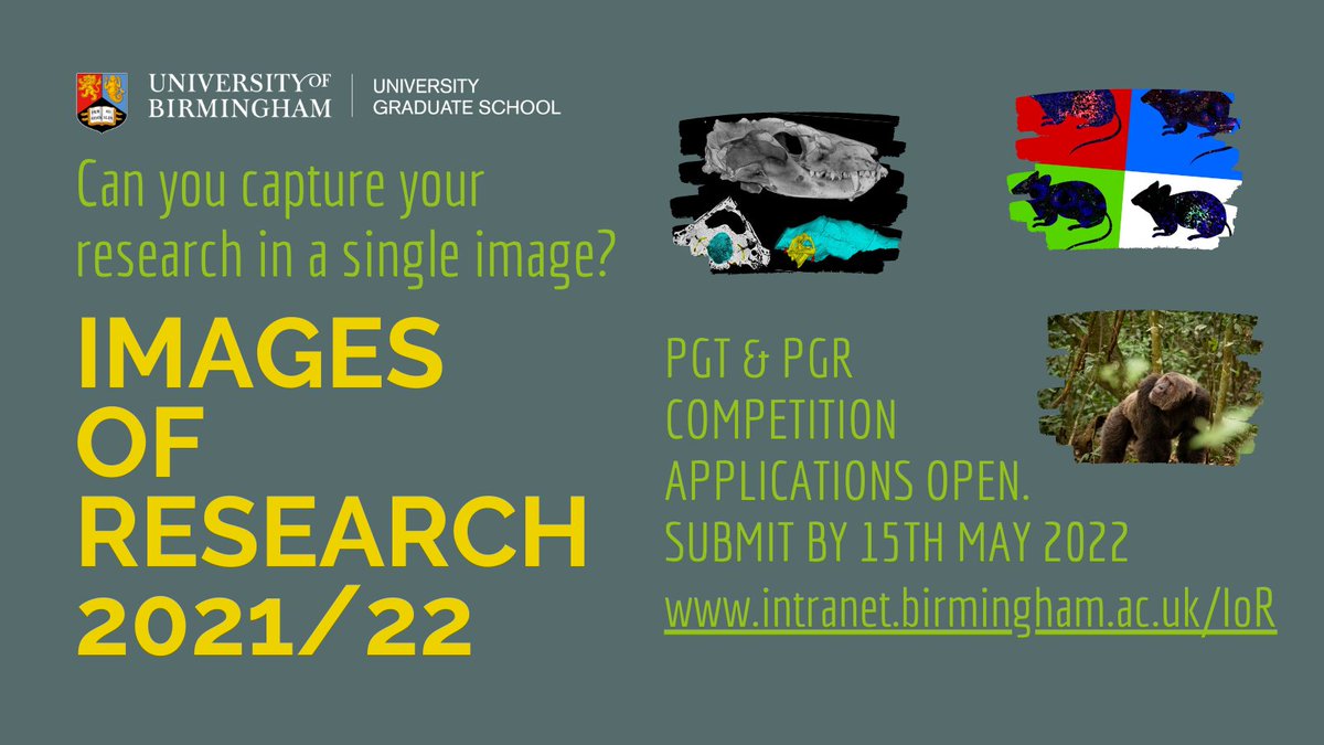 🎉Images of Research 2021/22 now OPEN for entries to ALL #UoB postgrads! 📸Create a single image representing your PhD research, PGT diss, or summative assignment. 🏆Win £100 & a spot at the PG Research Festival! ➡️More info here: bit.ly/3tNfWe8 #UoBPG #ImagesofResearch