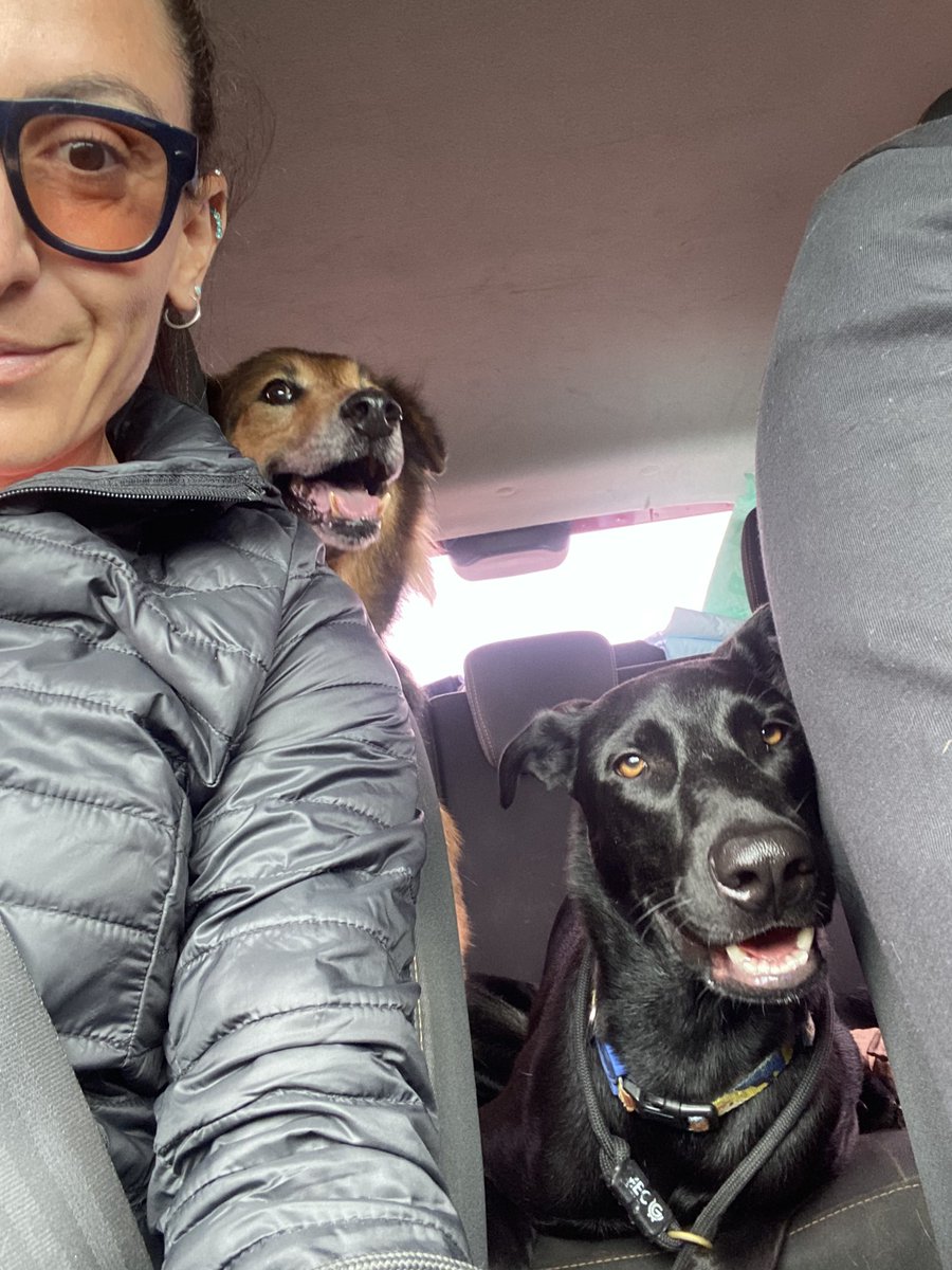 robertammoretti's tweet photo. Jimmy ‘The Dog’ Anderson’s first road trip
Followed by his brothers and the bowling machine!
No, the husband won’t be bowling this week! #restWeekend
But we will be up for #cwc22 final tomorrow! https://t.co/hUi7vThhaz