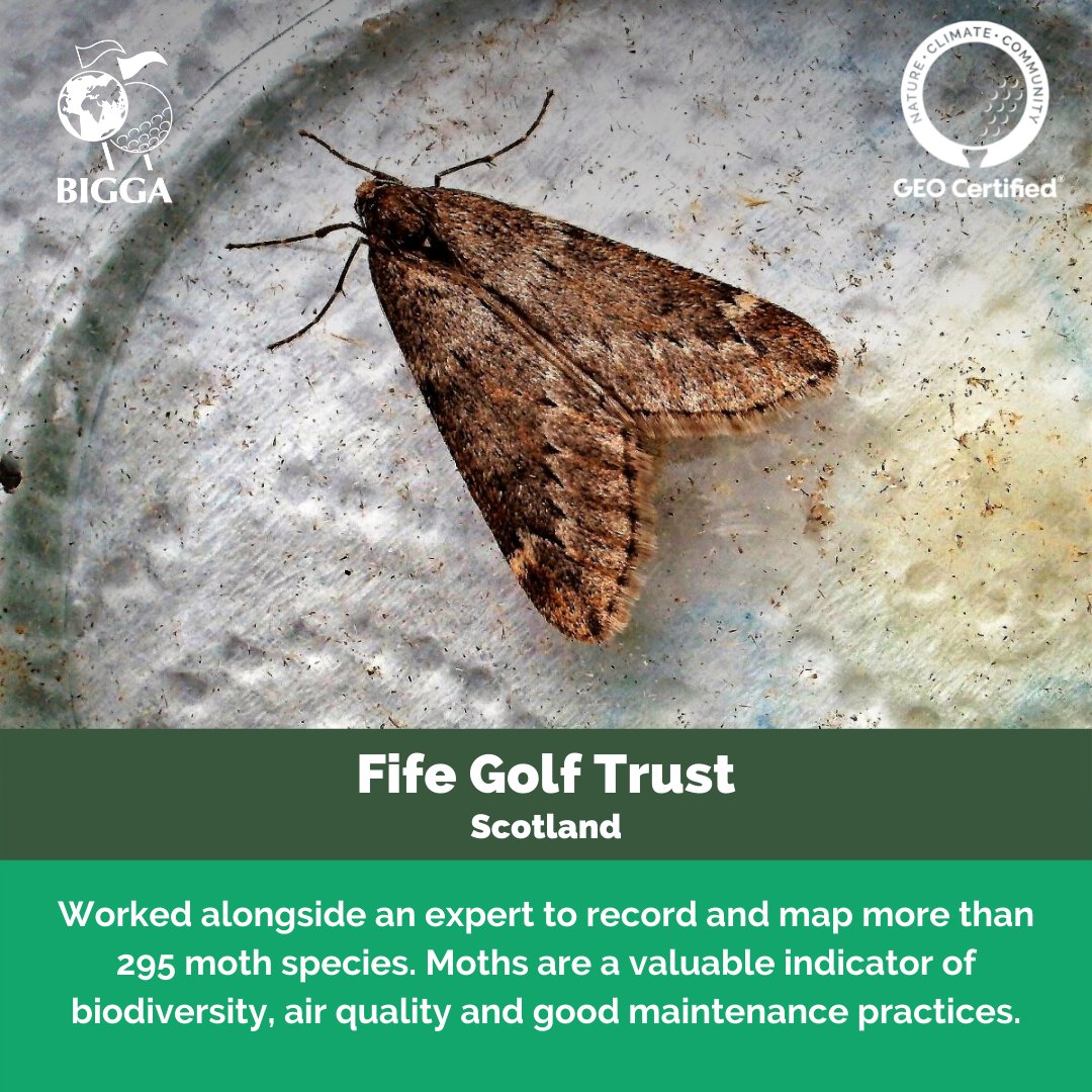 GEO Foundation for Sustainable Golf (@sustainablegolf) on Twitter photo <a href="/Fife_Golf_Trust/">Fife Golf Trust</a> <a href="/BIGGALtd/">British & International Golf Greenkeepers Assn.</a> <a href="/VisitScotGolf/">VisitScotland Golf</a> <a href="/VisitFifeGolf/">Visit Fife Golf</a> <a href="/ScottishGolf/">Scottish Golf</a> Here's the highlight that won it for Fife Golf Trust.
Find out more about the trust and what they're doing #ForSustainableGolf below 👇
sustainable.golf/directory/fife… <a href="/Fife_Golf_Trust/">Fife Golf Trust</a> <a href="/BIGGALtd/">British & International Golf Greenkeepers Assn.</a> <a href="/VisitScotGolf/">VisitScotland Golf</a> <a href="/VisitFifeGolf/">Visit Fife Golf</a> <a href="/ScottishGolf/">Scottish Golf</a> Here's the highlight that won it for Fife Golf Trust.
Find out more about the trust and what they're doing #ForSustainableGolf below 👇
sustainable.golf/directory/fife…