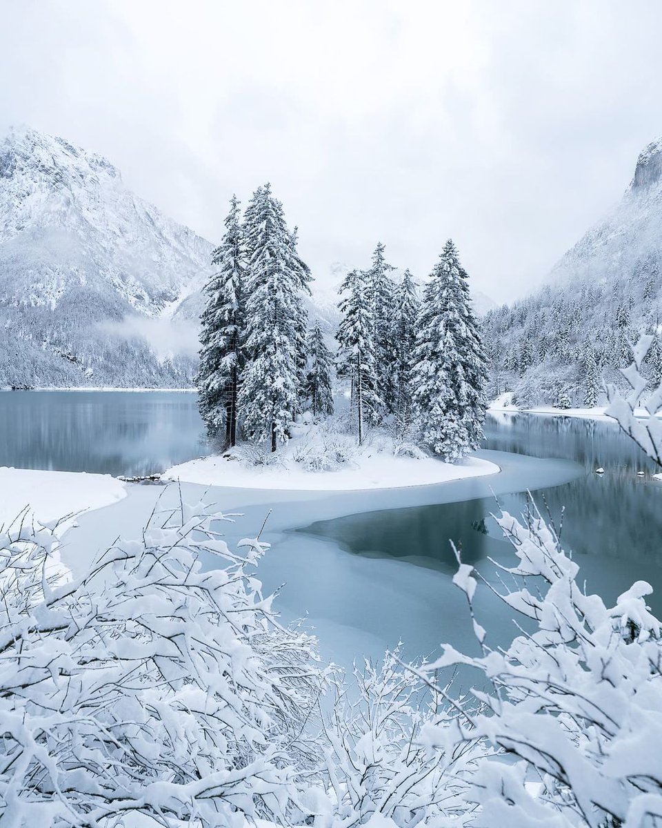 VisitFVG's tweet photo. Meraviglioso in tutte le stagioni il lago di #Predil (UD), originariamente chiamato in lingua slovena Raibl, è una meta perfetta per una gita fuori porta.

Autunno 🍂🍁 [Ph. the_ultimate_francie.hey.hoo IG]
Inverno ❄️⛄️ [Ph. Daniel Fischer]
Estate ☀️🌳 [Ph. René Merlin]

#FVGlive https://t.co/aRqSt0C1cf