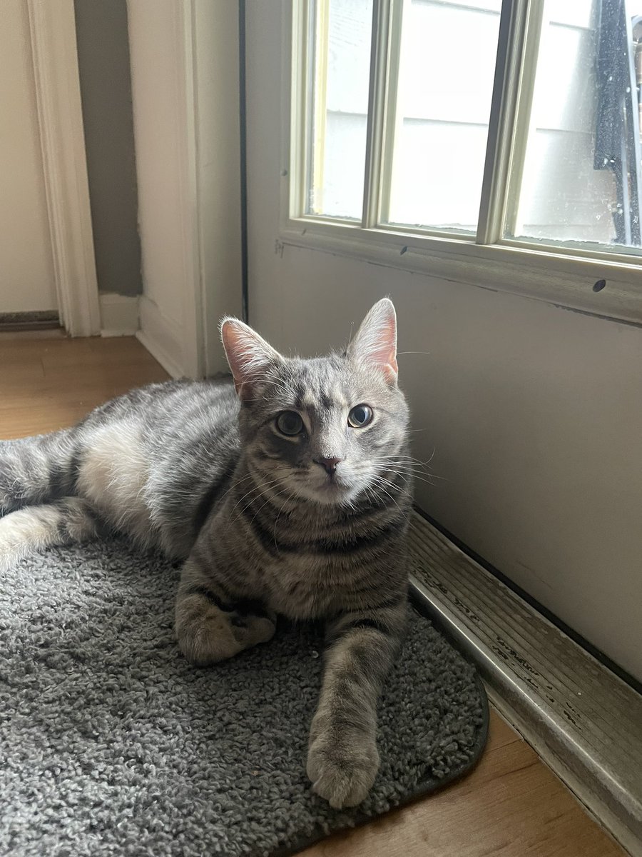 mace (@macyxbell) on Twitter photo 