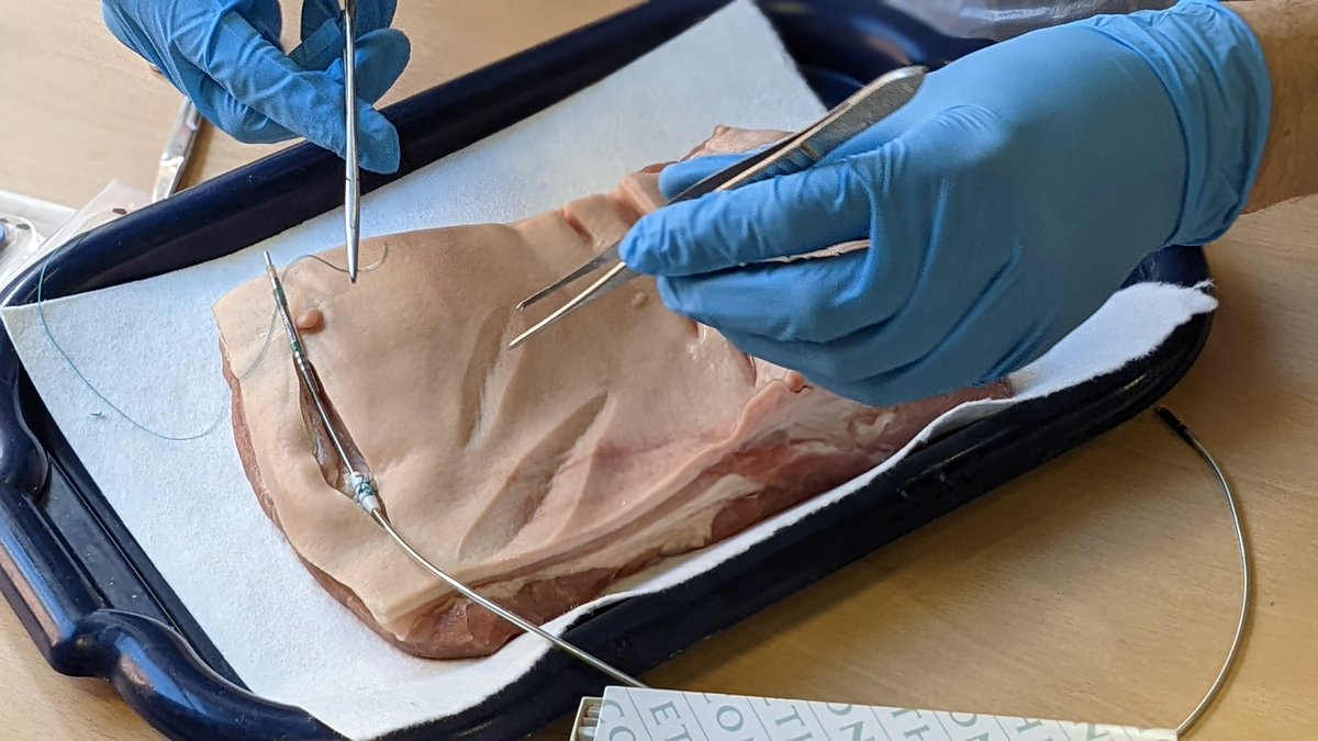 MedEdLeeds's tweet photo. Providing the theory of surgical cardiac pacing with invaluable hands-on practice in a simulated environment. @drandyhogarth for @cardiorespLTHT in collaboration with @AbbottCardio https://t.co/wTuhDYLTb1