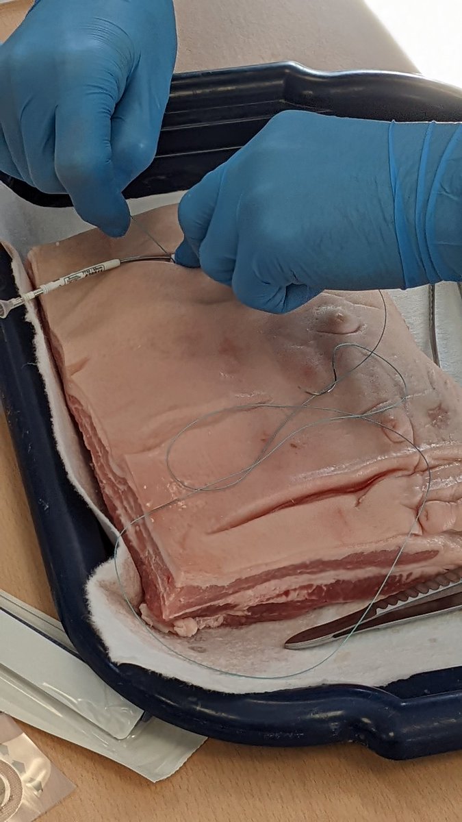 MedEdLeeds's tweet photo. Providing the theory of surgical cardiac pacing with invaluable hands-on practice in a simulated environment. @drandyhogarth for @cardiorespLTHT in collaboration with @AbbottCardio https://t.co/wTuhDYLTb1