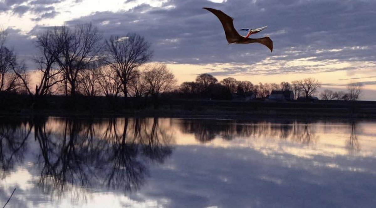 Pterodactyls starting to migrate thru Minnesota on their way to nesting grounds in Canada …