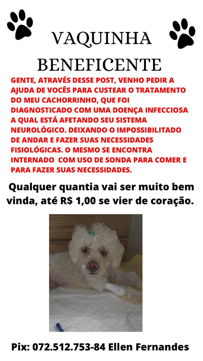 EdinaldoF10's tweet photo. Quem puder ajudar, agradeço de coração ❤ 
@aurisson https://t.co/MpeC5TjVjN