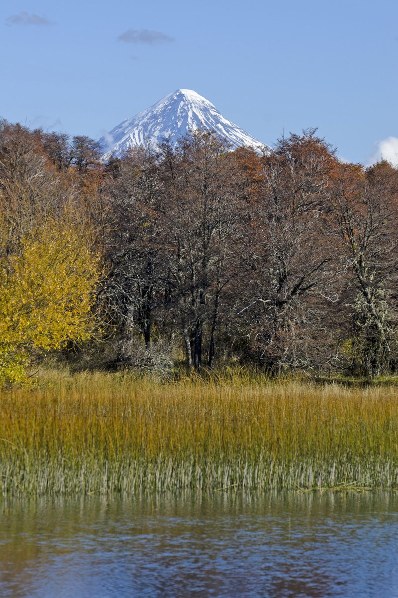 neuquentur's tweet photo. El #otoño presente en cada rincón de la provincia 😍🍂🍁
Es tiempo para vos, para conectar y disfrutar de la naturaleza! 😍
#NeuquenEsTuDestino 😉 https://t.co/NBVyPXAO6u