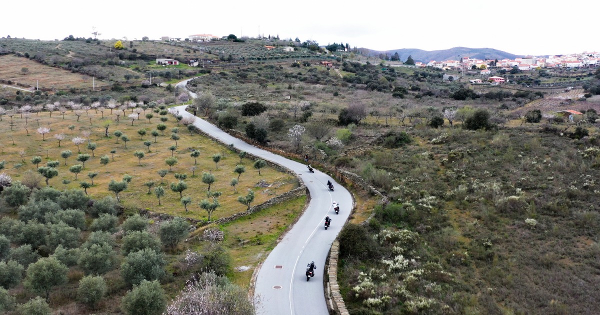 visitportugal's tweet photo. #Rout_e Sustainable Touring in #Portugal
A 3 day trip through a region of #Portugal in an environmentally friendly way.
This 2nd tour #CenterOfPortugal had stops at tourist, cultural and historical landmarks in #CenterOfPortugal
Follow us on Instagram Stories
#VisitPortugal https://t.co/Gy7TmWqchm